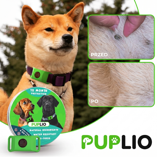 PUPLIO™ – Naturalna zawieszka przeciw pchłom i kleszczom dla psów | 12 miesięcy ochrony